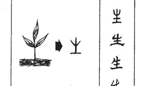海藻石作用网—知名的天然海藻石多少钱网站,分享海藻石的功效与作用知识