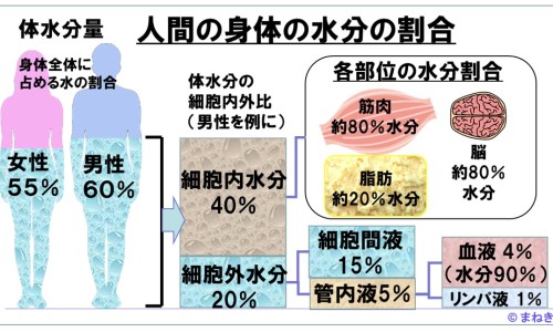 海藻石价格-海藻石作用网—知名的天然海藻石多少钱网站,分享海藻石的功效与作用知识